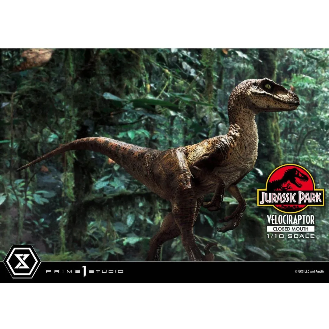 Jurassic Park (Film) Velociraptor Closed Mouth statue By Prime1 Studios