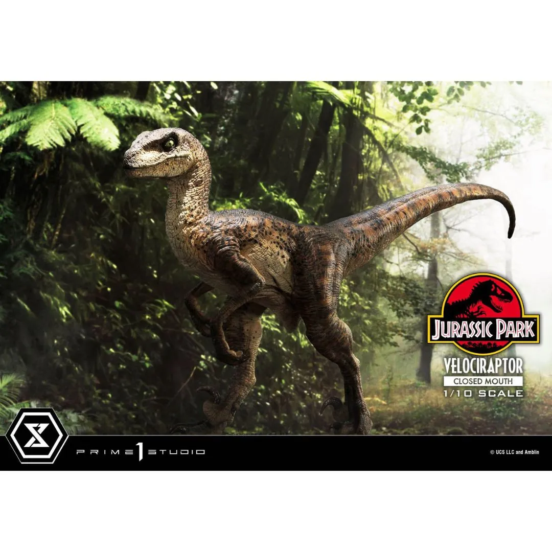 Jurassic Park (Film) Velociraptor Closed Mouth statue By Prime1 Studios