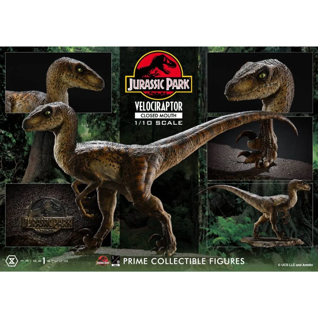 Jurassic Park (Film) Velociraptor Closed Mouth statue By Prime1 Studios