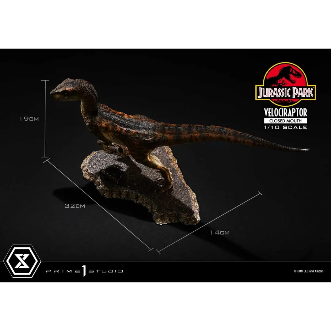 Jurassic Park (Film) Velociraptor Closed Mouth statue By Prime1 Studios