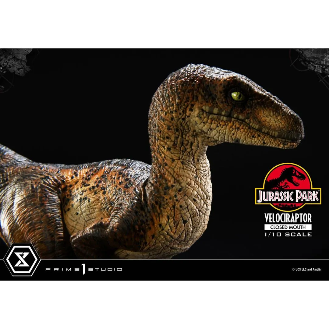 Jurassic Park (Film) Velociraptor Closed Mouth statue By Prime1 Studios