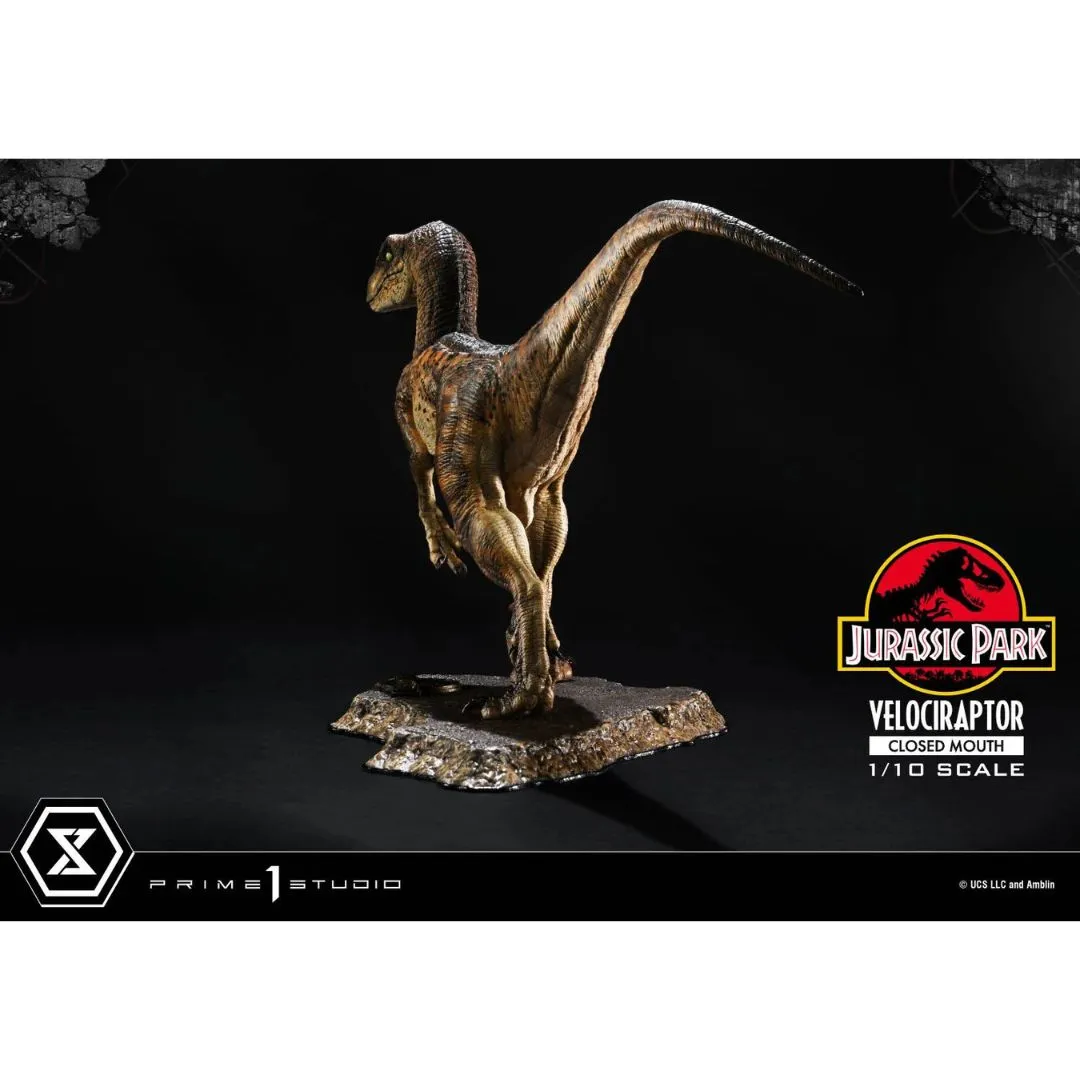 Jurassic Park (Film) Velociraptor Closed Mouth statue By Prime1 Studios