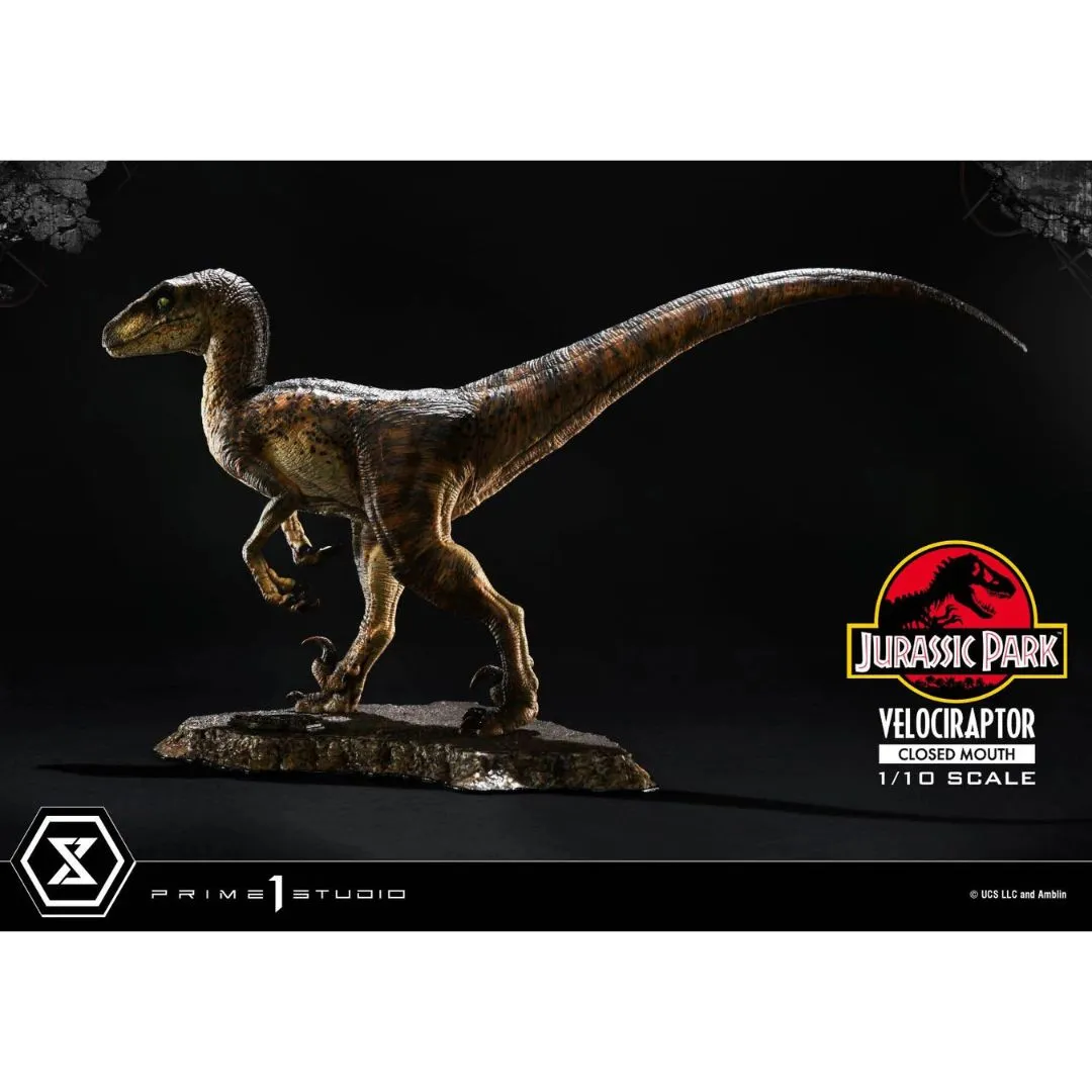 Jurassic Park (Film) Velociraptor Closed Mouth statue By Prime1 Studios